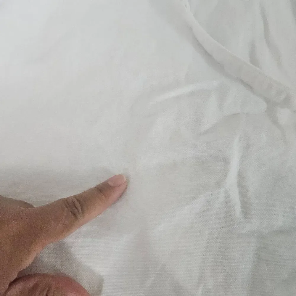 Dior Garment bag